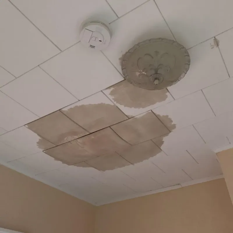 Ceiling Water Damage Repair in Freer, TX