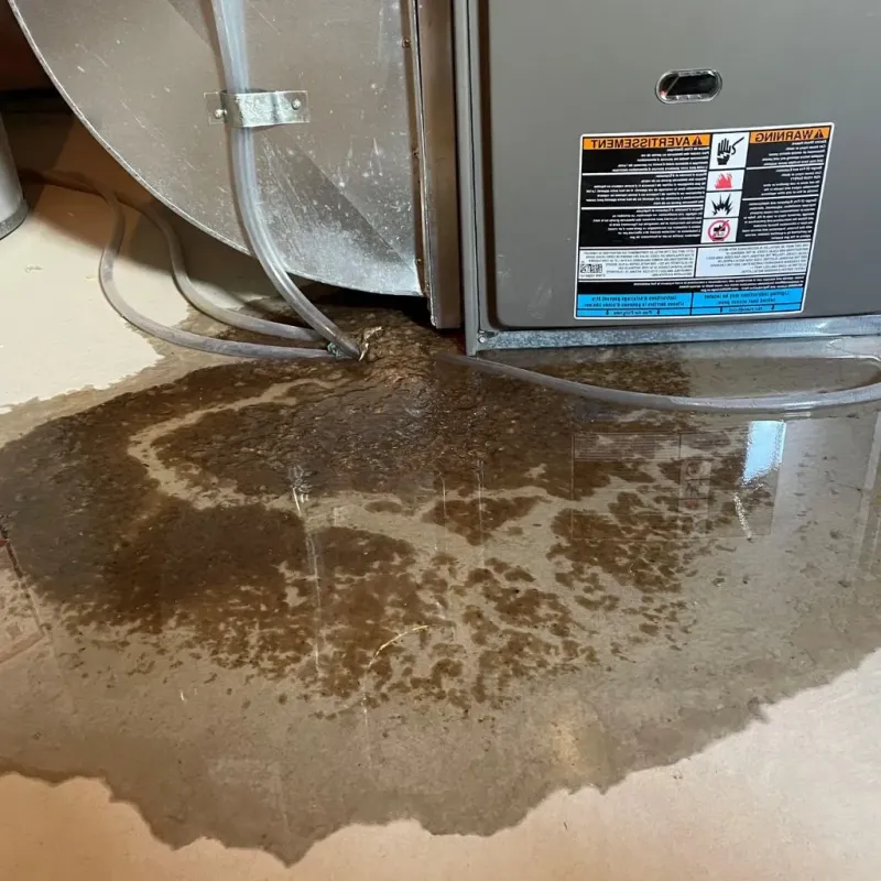 Pipe Burst and Leak Restoration in Freer, TX