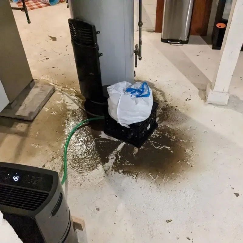 Sewage Backup Cleanup Service in Freer, TX
